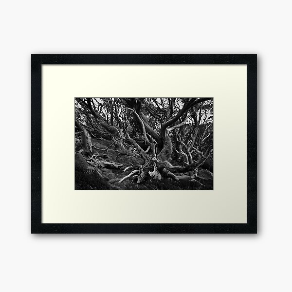 Item preview, Snow Gums Mono designed and sold by Gillian Anderson LAPS, AFIAP.