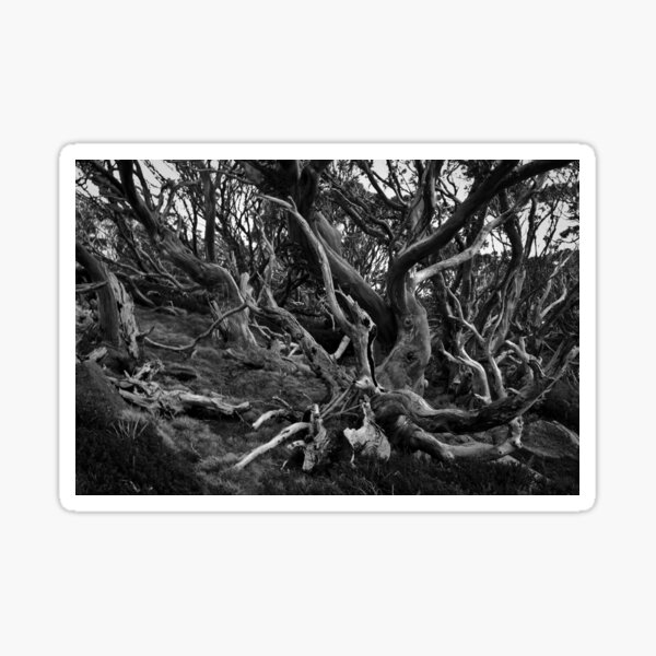 Item preview, Snow Gums Mono designed and sold by Gillian Anderson LAPS, AFIAP.