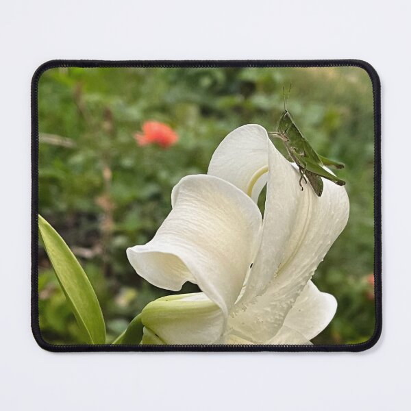 Item preview, Lilly with Grasshopper designed and sold by TherapeuticNest.