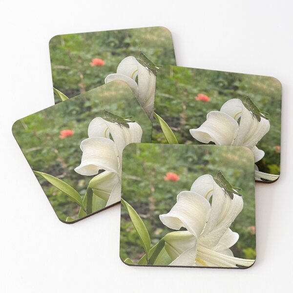 Item preview, Lilly with Grasshopper designed and sold by TherapeuticNest.