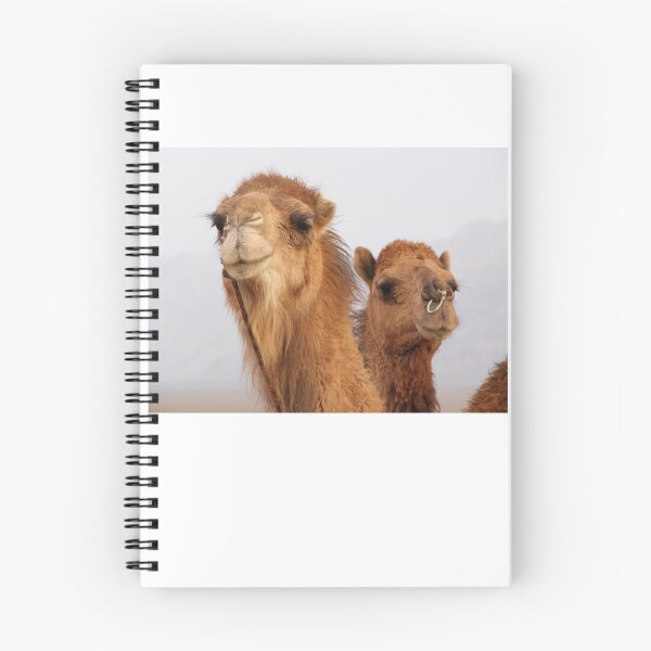 Item preview, Camels designed and sold by Gillian Anderson LAPS, AFIAP.