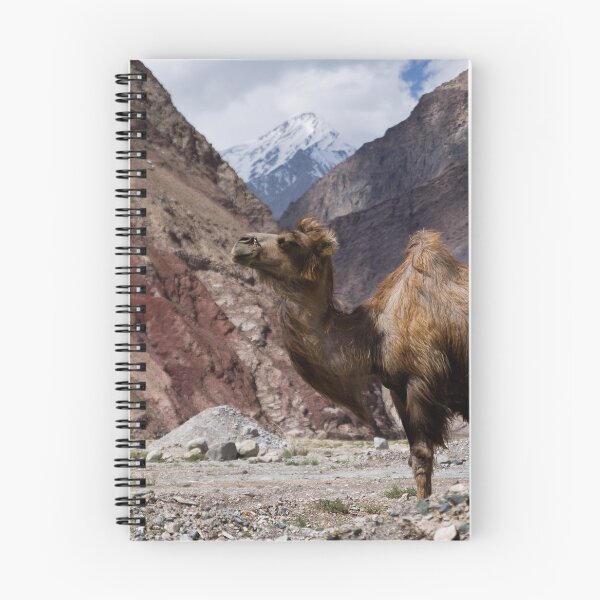 Item preview, Camel on the Karakoram Highway designed and sold by Gillian Anderson LAPS, AFIAP.