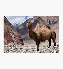 Gateway to the Karakoram Highway Photographic Print