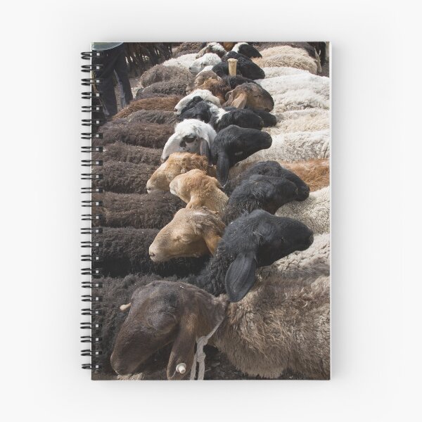Item preview, Sheep designed and sold by Gillian Anderson LAPS, AFIAP.