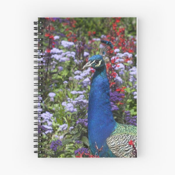 Item preview, Pavo cristatus designed and sold by Mythos57.