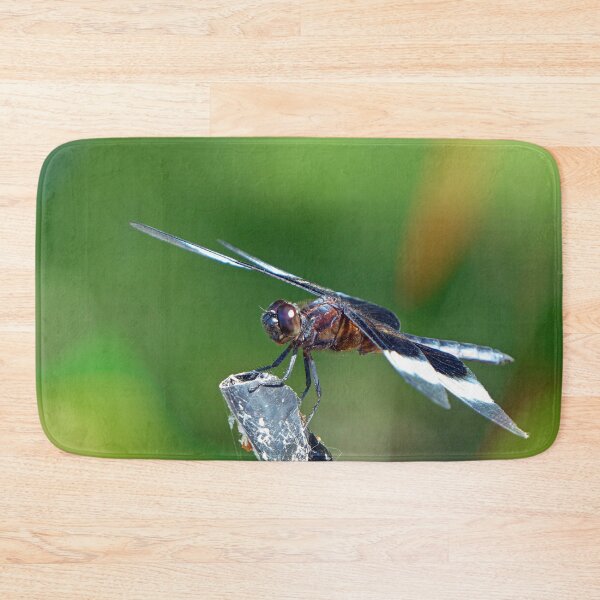 Item preview, Dragonfly designed and sold by Frankie Cat Photography.