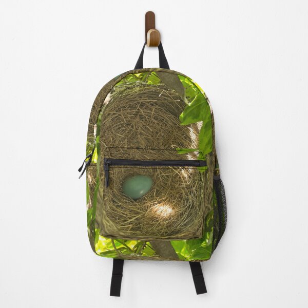 Item preview, Robin Egg: When one flies light appears! designed and sold by TherapeuticNest.