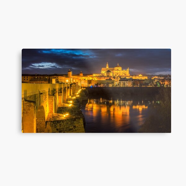 Metal Print