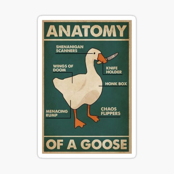 "goose meme" Sticker for Sale by ASCENCIO- | Redbubble