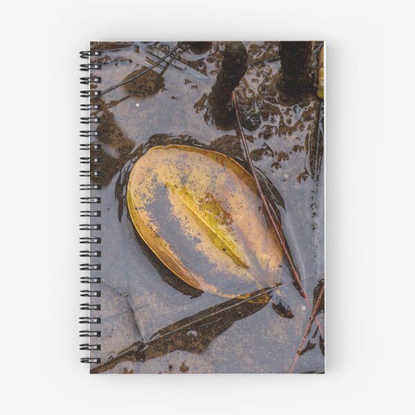 Item preview, Water Filled Mangrove Leaf designed and sold by suziq1962.