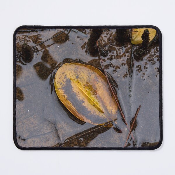 Item preview, Water Filled Mangrove Leaf designed and sold by suziq1962.