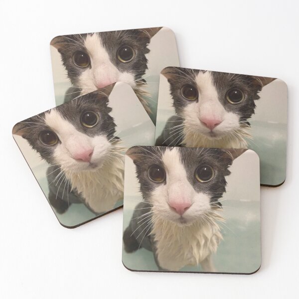 Item preview, Soggy Wet Cat Meme designed and sold by shirtshoppe.