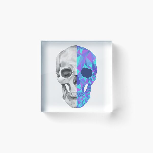 Item preview, Anatomic vs Geometric Skull designed and sold by freakmuffin.