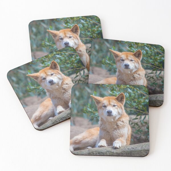Item preview, Dingo Portrait designed and sold by TVD-Photography.