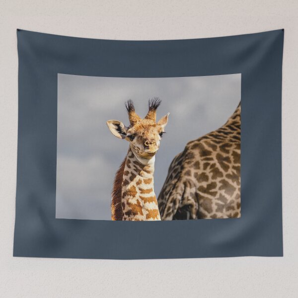 Item preview, Out of Hiding - Baby Maasai Giraffe designed and sold by Jensphotos.