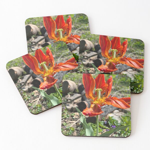 Item preview, Tulip Flame Energy Fire designed and sold by TherapeuticNest.