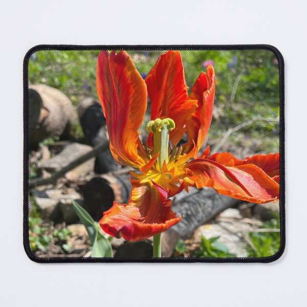 Item preview, Tulip Flame Energy Fire designed and sold by TherapeuticNest.