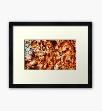 Decay Framed Print