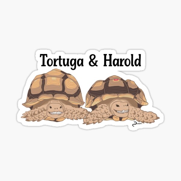 Artikel-Vorschau von Tortuga und Harold (Scherzdesign), designt und verkauft von Dulcimer17.