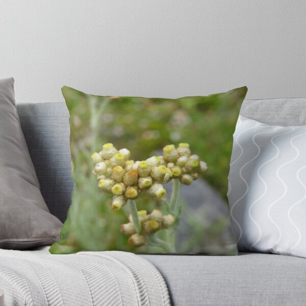 Item preview, Jersey cudweed flowers designed and sold by greentiger1.