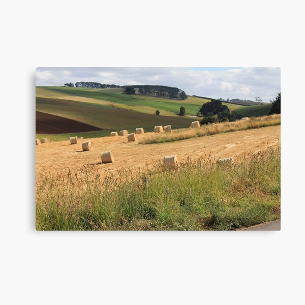 Hay Bales on the Hill Canvas Print