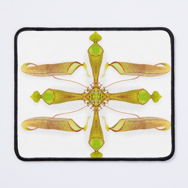 Item preview, Botanical Mandala #3 designed and sold by philipsmithart.