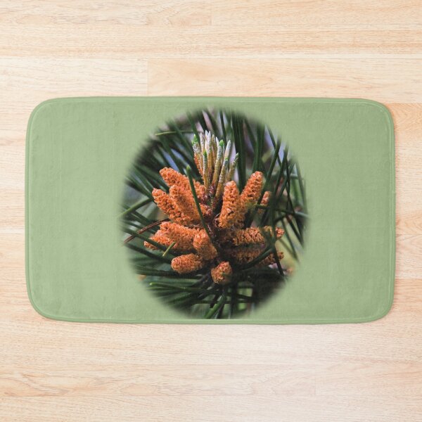 Item preview, Pine cones and needles designed and sold by indiafrankk.