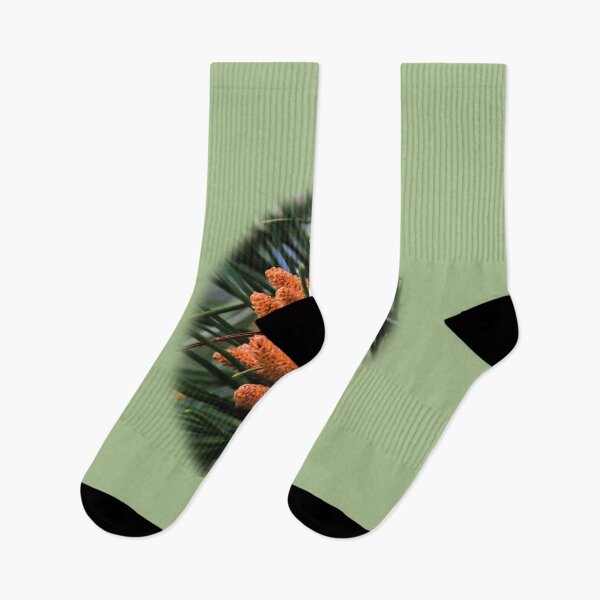 Item preview, Pine cones and needles designed and sold by indiafrankk.