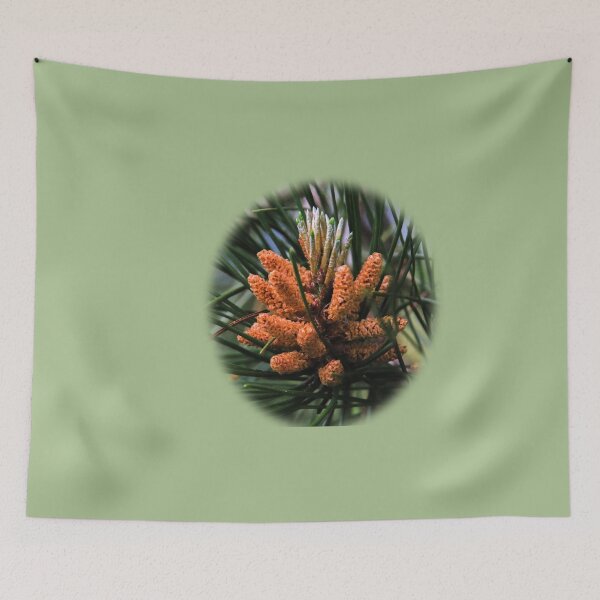 Item preview, Pine cones and needles designed and sold by indiafrankk.