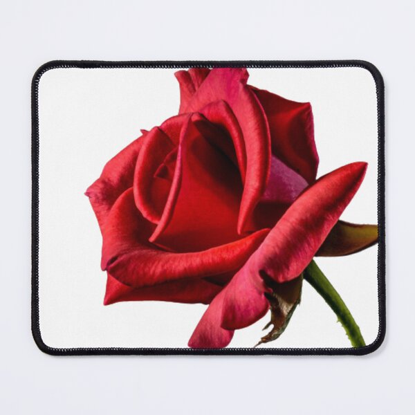 Item preview, Rose Flower designed and sold by Iarmy-2022.