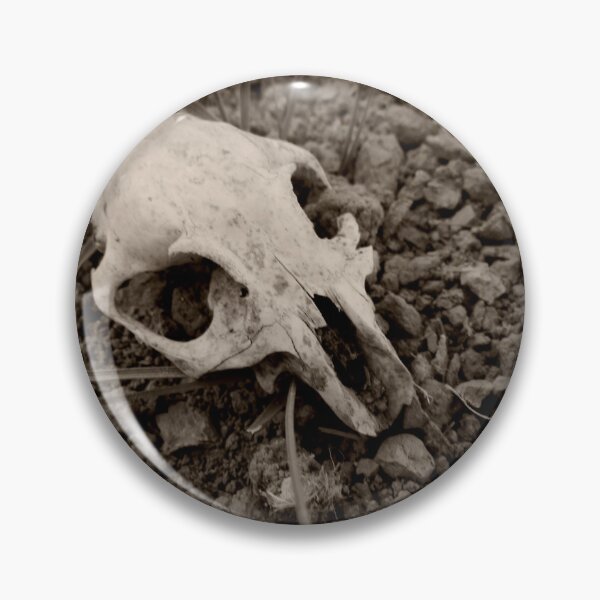 Item preview, Prairie dog skull designed and sold by Ally Lukehart-Hamil.