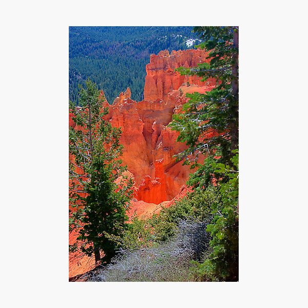 Aperçu de l'œuvre Bryce 2 créée et vendue par snaptoit.