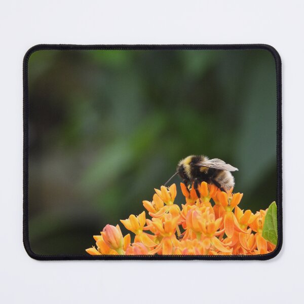 Item preview, Happy bumblebee on a flower designed and sold by Sintija Valucka.