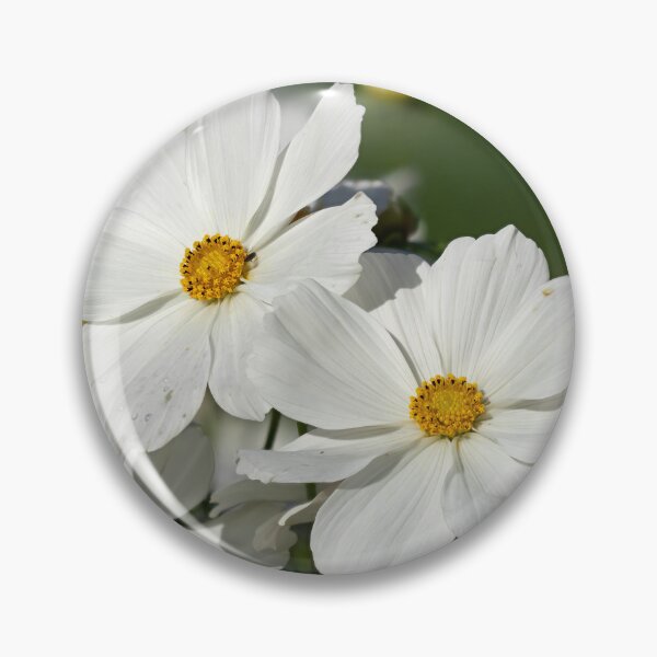 Item preview, Great white Mexican aster designed and sold by Jouko Lehto Photography.