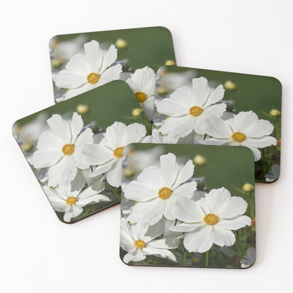 Item preview, Great white Mexican aster designed and sold by Jouko Lehto Photography.