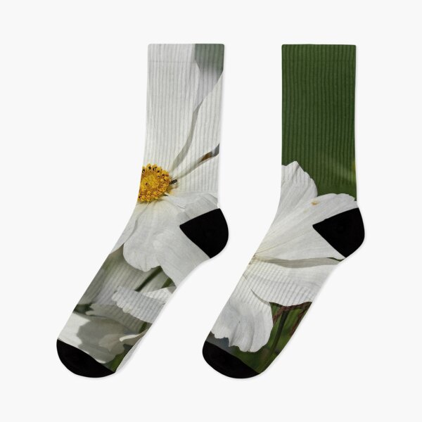 Item preview, Great white Mexican aster designed and sold by Jouko Lehto Photography.