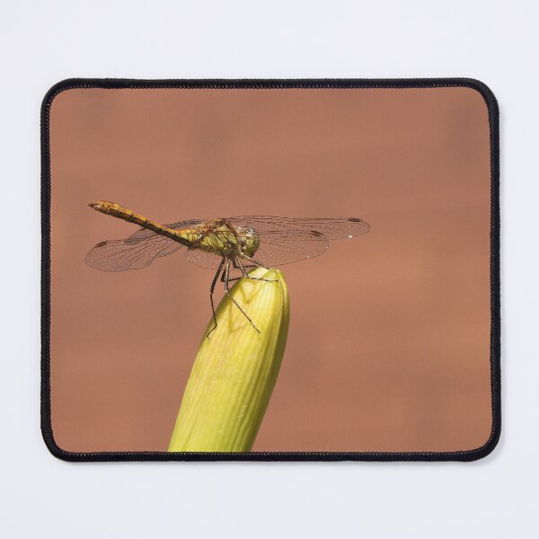 Item preview, The vagrant darter (Sympetrum vulgatum) designed and sold by Sintija Valucka.
