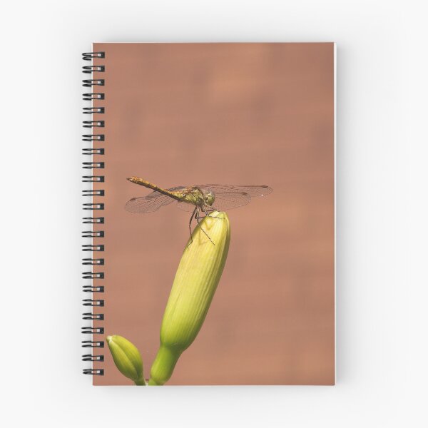 Item preview, The vagrant darter (Sympetrum vulgatum) designed and sold by Sintija Valucka.