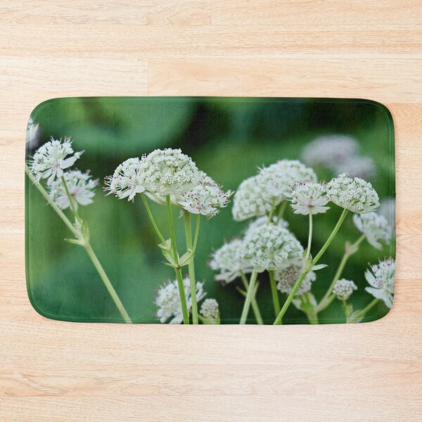 Item preview, The shooting stars. Great masterwort designed and sold by Jouko Lehto Photography.