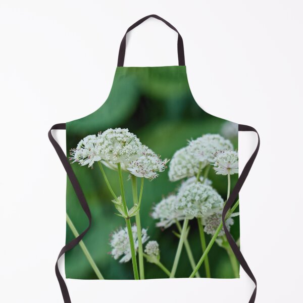 Item preview, The shooting stars. Great masterwort designed and sold by Jouko Lehto Photography.