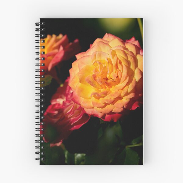 Item preview, Twilight Urban Dreams Rose designed and sold by Jouko Lehto Photography.