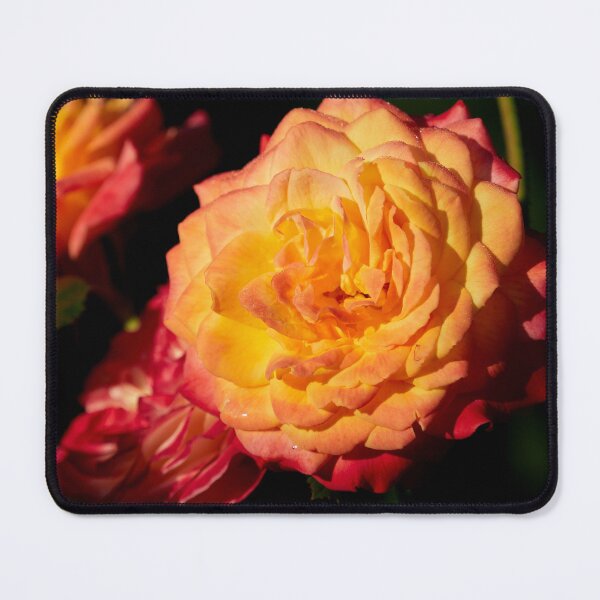 Item preview, Twilight Urban Dreams Rose designed and sold by Jouko Lehto Photography.