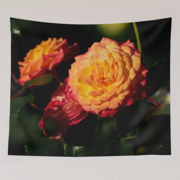 Item preview, Twilight Urban Dreams Rose designed and sold by Jouko Lehto Photography.