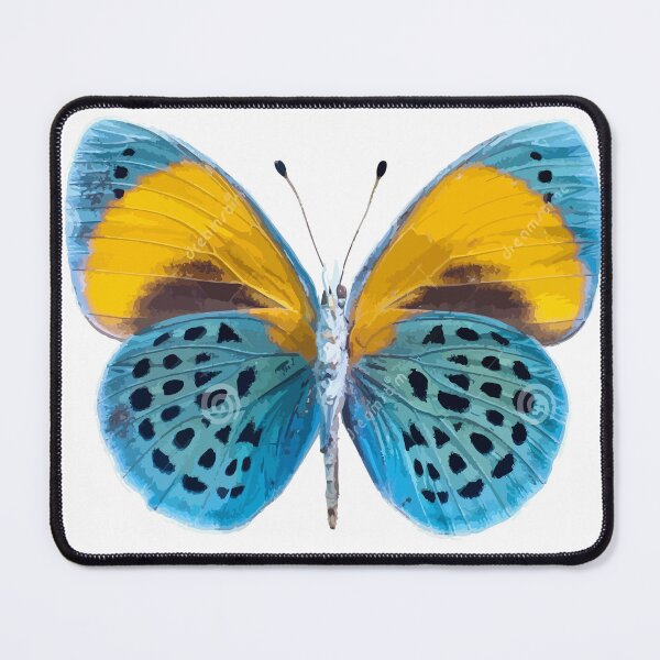 Item preview, Cute Butterfly Gift For Women Kids Girls Butterfly Lover Cute Butterflies Design designed and sold by Waleedw.