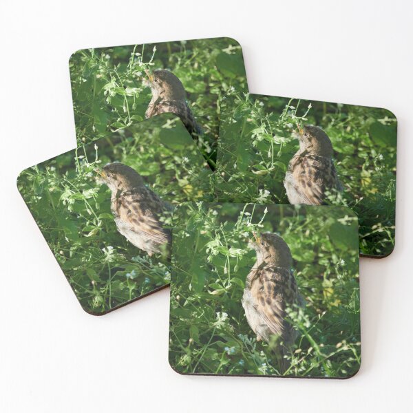 Item preview, Oh my seeds. House Sparrow designed and sold by Jouko Lehto Photography.