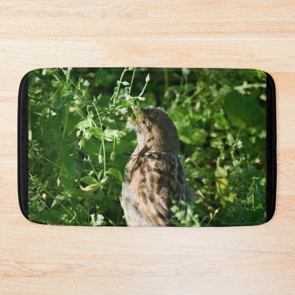 Item preview, Oh my seeds. House Sparrow designed and sold by Jouko Lehto Photography.