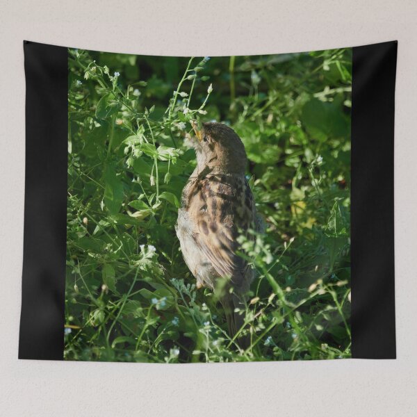 Item preview, Oh my seeds. House Sparrow designed and sold by Jouko Lehto Photography.