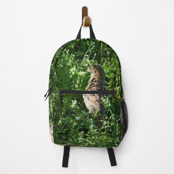 Item preview, Oh my seeds. House Sparrow designed and sold by Jouko Lehto Photography.