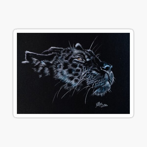 Wild black panther on black background | feline Sticker