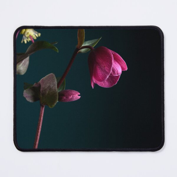 Item preview, Hellebores designed and sold by Dreamscape Eclectic .